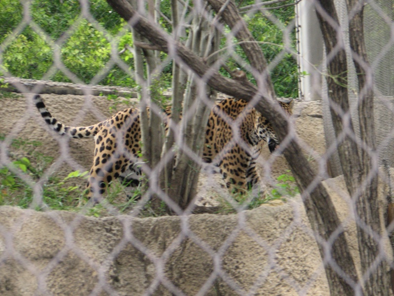 20100206 530.JPG